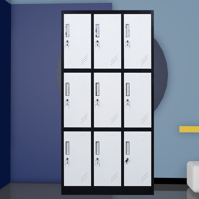 Matte Finish Cabinet with Metal Door Modern Hinged Door Wardrobe