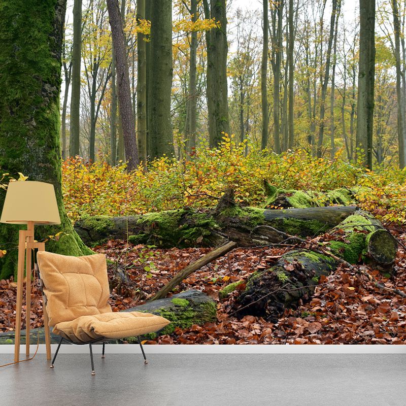 Forest Photo Mural Wallpaper for Living Room Decor, Custom Size Available