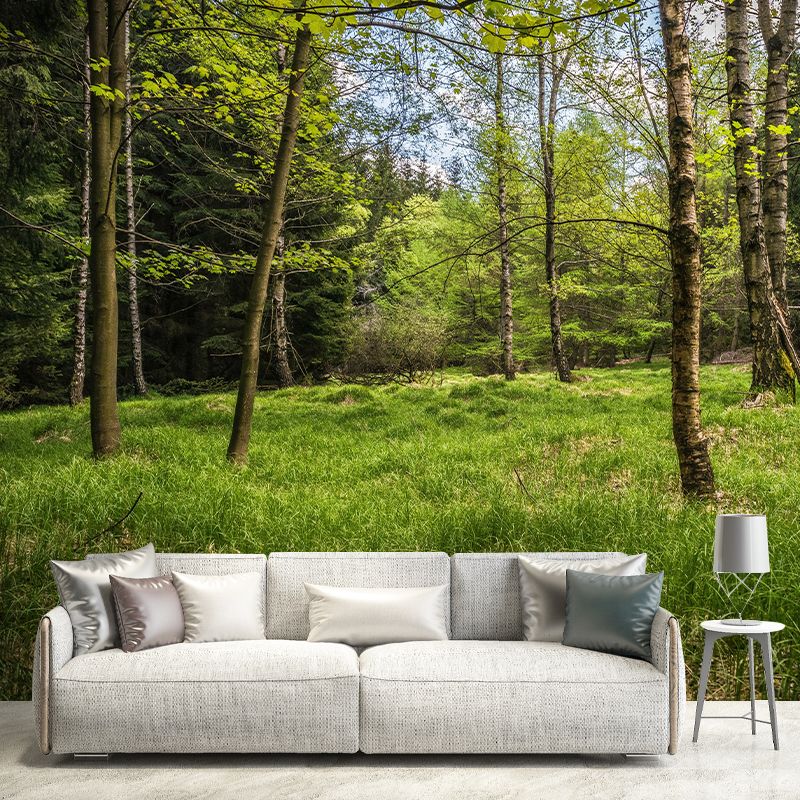 Contemporary Forest Mural Wallpaper Decorative Mildew Resistant Wall Covering
