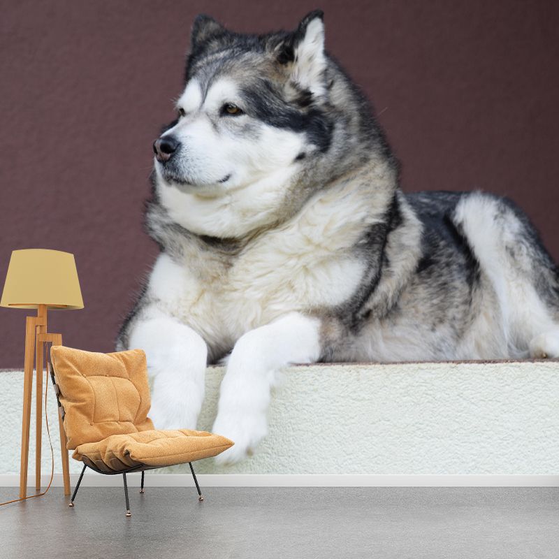 Lovely Alaskan Dog Mural Wall Decor Living Room Wall Covering for Decoration