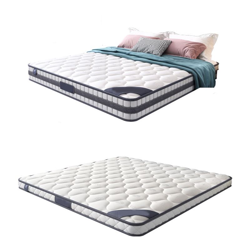 Mid-Century Modern White Platform Bed Frame Solid Wood Platform Bed