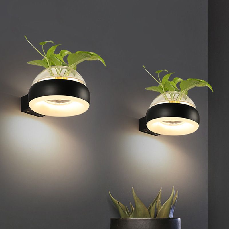 Iluminación de pared de cúpula de vidrio transparente 1 lámpara de apliques de pared LED de dormitorio de dormitorio en negro/gris/blanco con recipiente de plantas