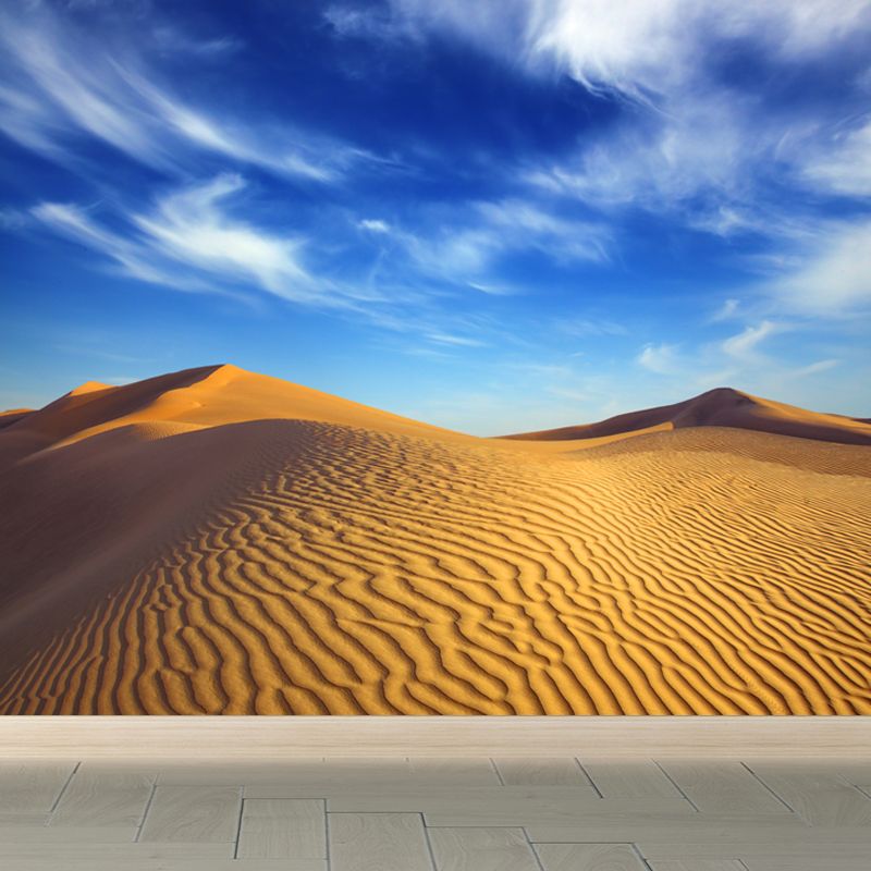 Dune and Sky Scenery Mural Contemporary Moisture Resistant Bedroom Wall Covering, Custom