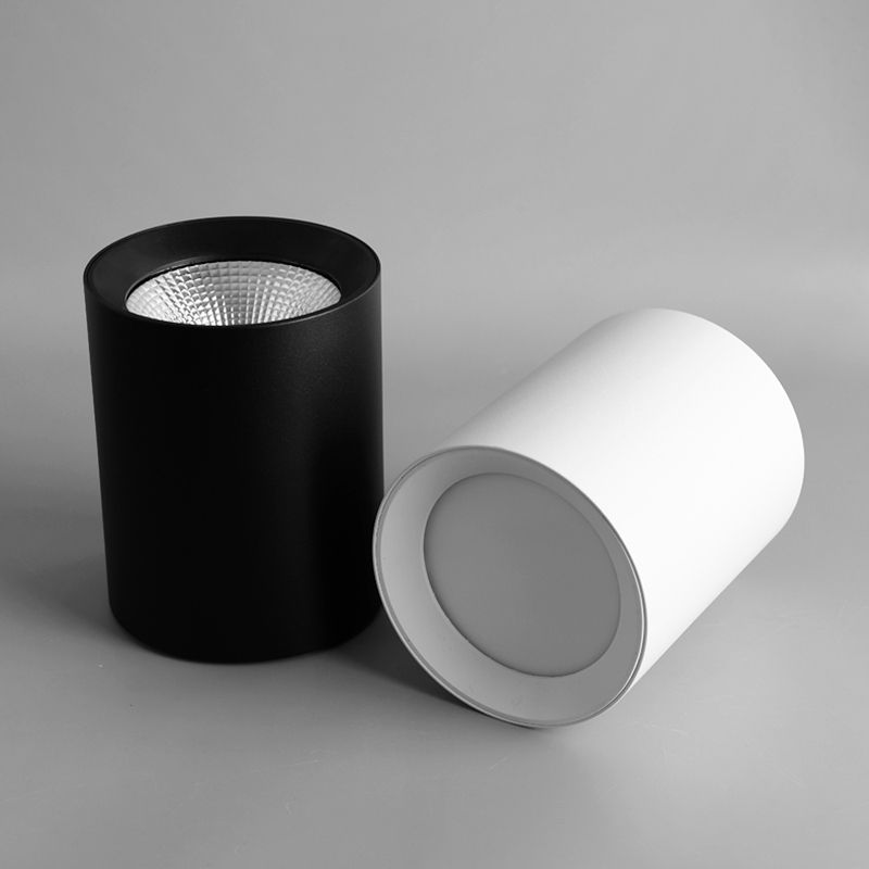 Cylindrical Ceiling Light Close to Ceiling Lighting Modern Flush Mount Lighting