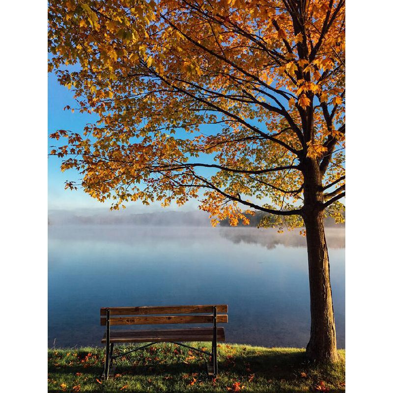 Enormous Photography Autumn Tree Mural Wallpaper for Guest Room Decor in Yellow and Blue, Made to Measure