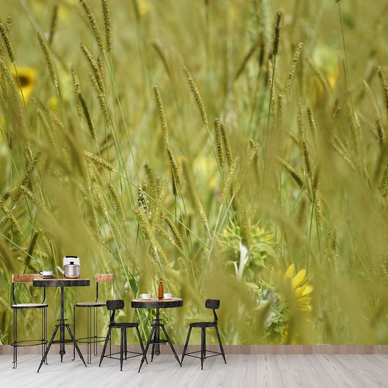 Setaria Plant Moisture Resistant Wall Mural Living Room Wall Decor, Custom Size Available