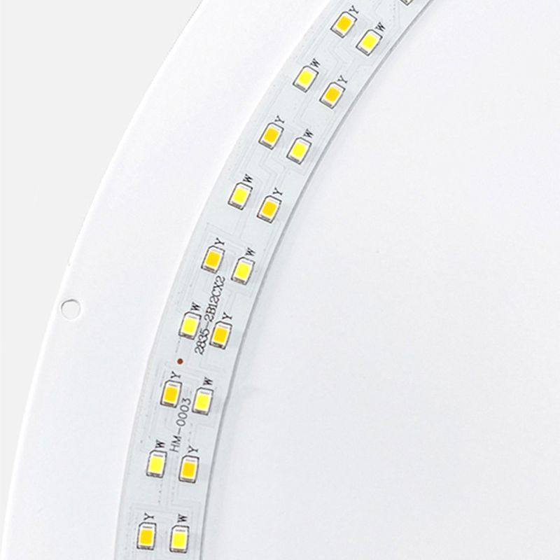 White Flush Mount Lighting Modernism LED Ceiling Light for Foyer