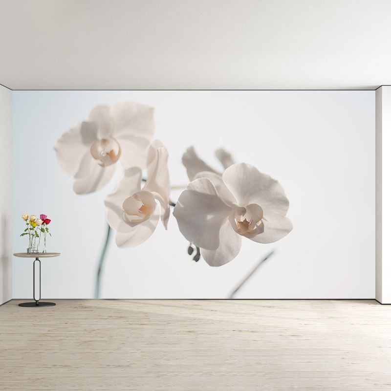 Beautiful Orchid Wall Murals for Home Decoration Stain Resistant, Personalised Size