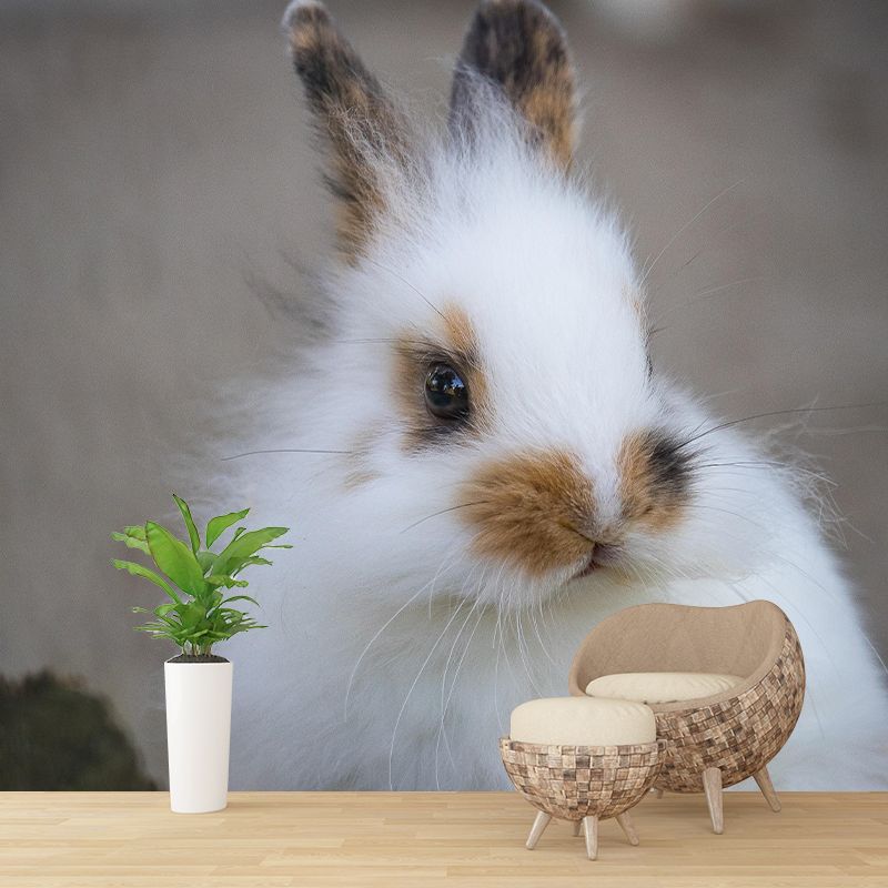 Beautiful Rabbit Mural Wallpaper Stain Resistant Wall Covering for Living Room