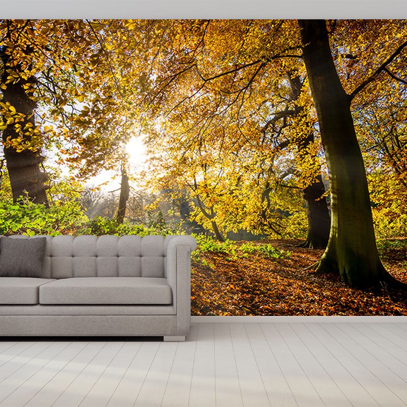Forest View Mural Wallpaper Mildew Resistant Wall Covering for House Interior