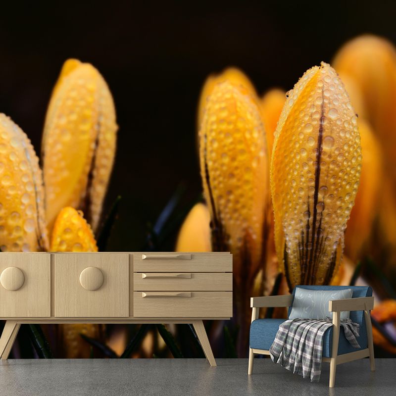 Horizontal Photography Dripping Crocus Wall Mural for Living Room Girls Women Bedroom