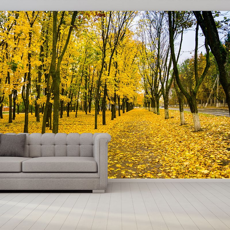 Photographic Autumn Forest Mural Mildew Resistant Wall Decor for House Interior