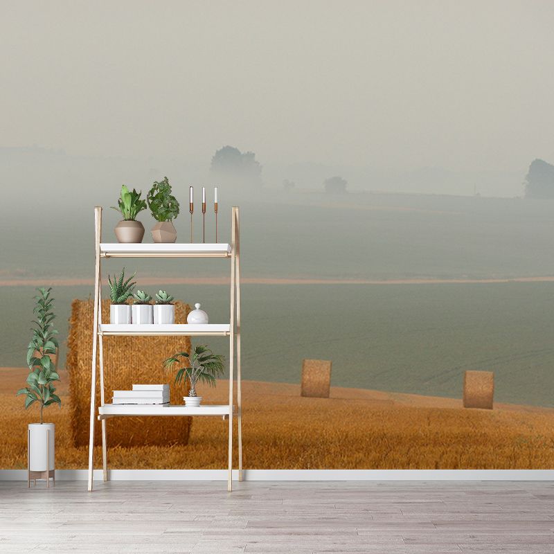 Beautiful Photography Mural Wallpaper Wheat Field Indoor Wall Mural