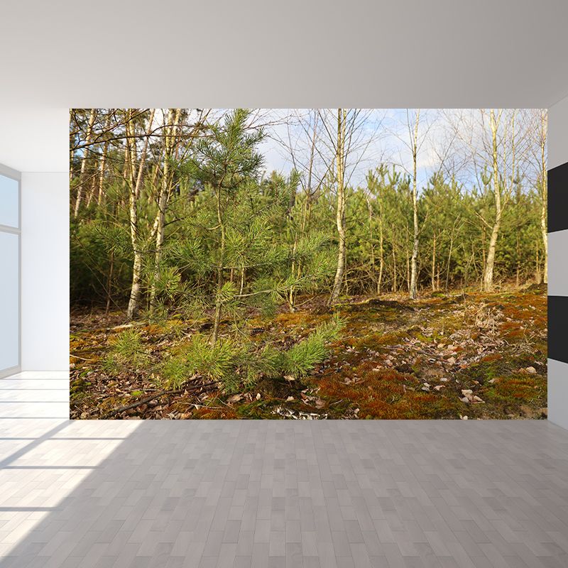 Simple Forest Wall Mural Decal Full Size Moisture Resistant, Made to Measure
