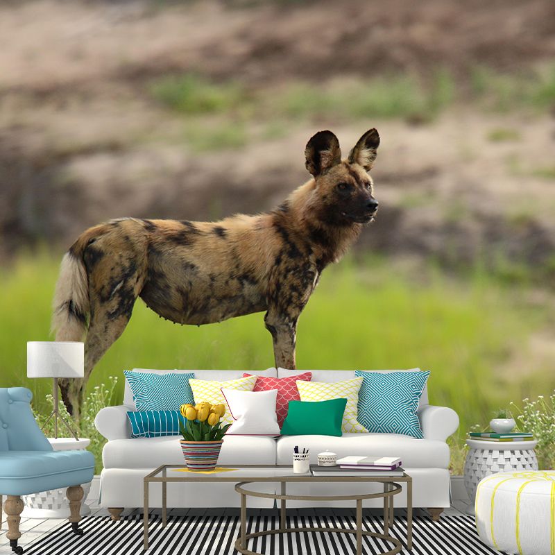 Contemporary Style Hyena Mural Eco-friendly Wallpaper Wall Covering for Sitting Room