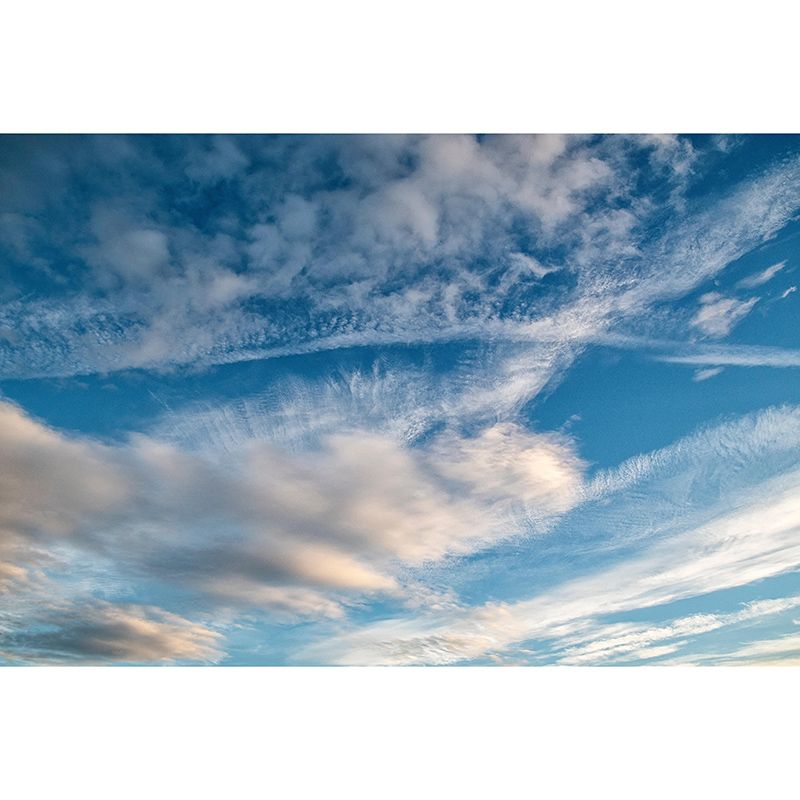 Contemporary Sky Scenery Mural Eco-friendly Home Decor for Dining Room