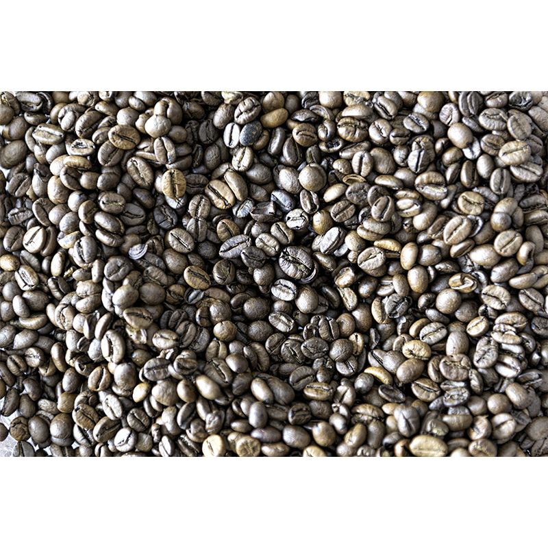 Modern Coffee Shop Wall Decor Coffee Beans Mural Wallpaper, Water Resistant