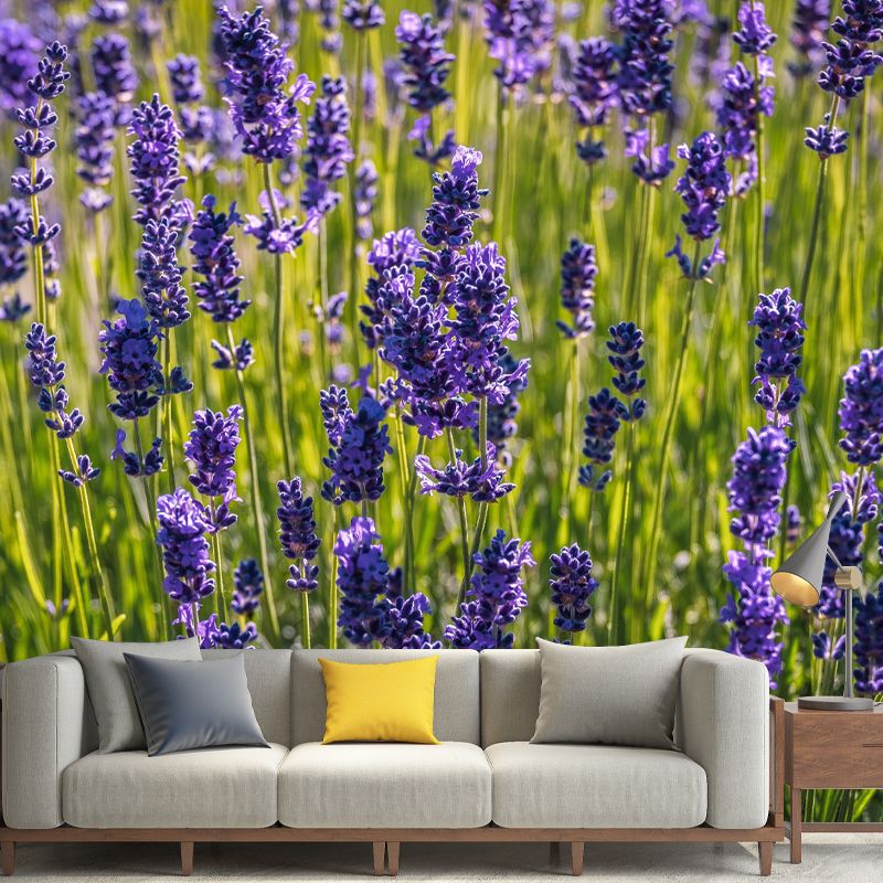 Horizontal Photography Lavender Wall Mural for Living Room Girls Women Bedroom