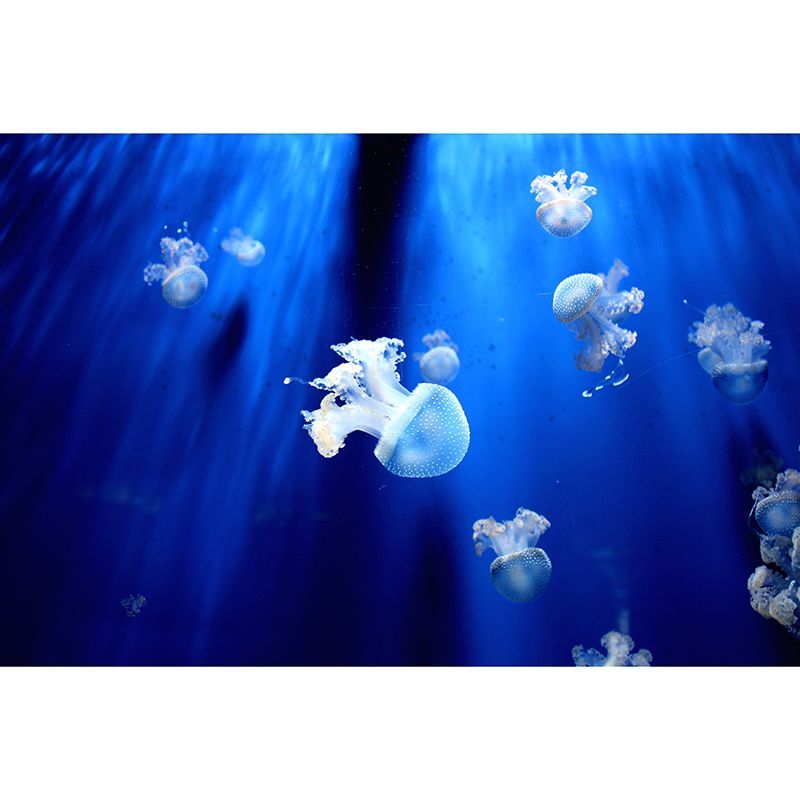 Sea Creatures Wall Murals Water Resistant Contemporary Wall Art for Bedroom