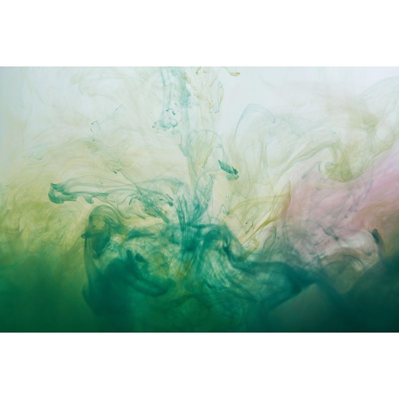 Ink Fusion Wall Murals Wallpaper Contemporary Mildew Resistant Wall Murals for Home