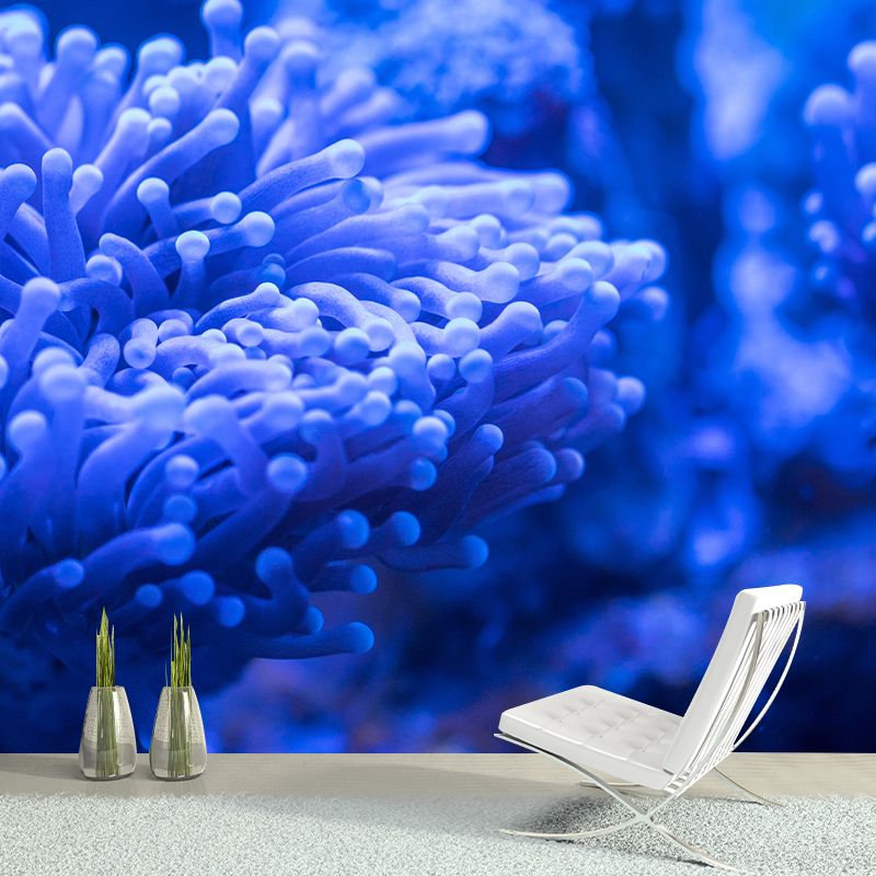 Sea Creatures Wall Mural for Sleeping Room, Water Resistant, Made to Measure