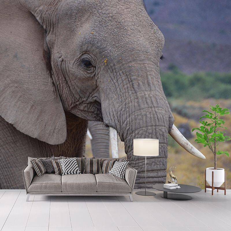 Customized Elephant Wall Mural Horizontal Photography for Sleeping Room Decoration