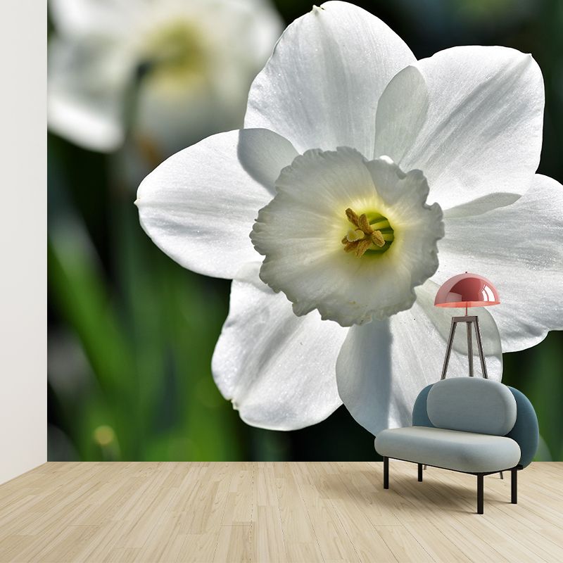 Customized Contemporary Daffodil Mural Mildew Resistant for Sitting Room Bedroom