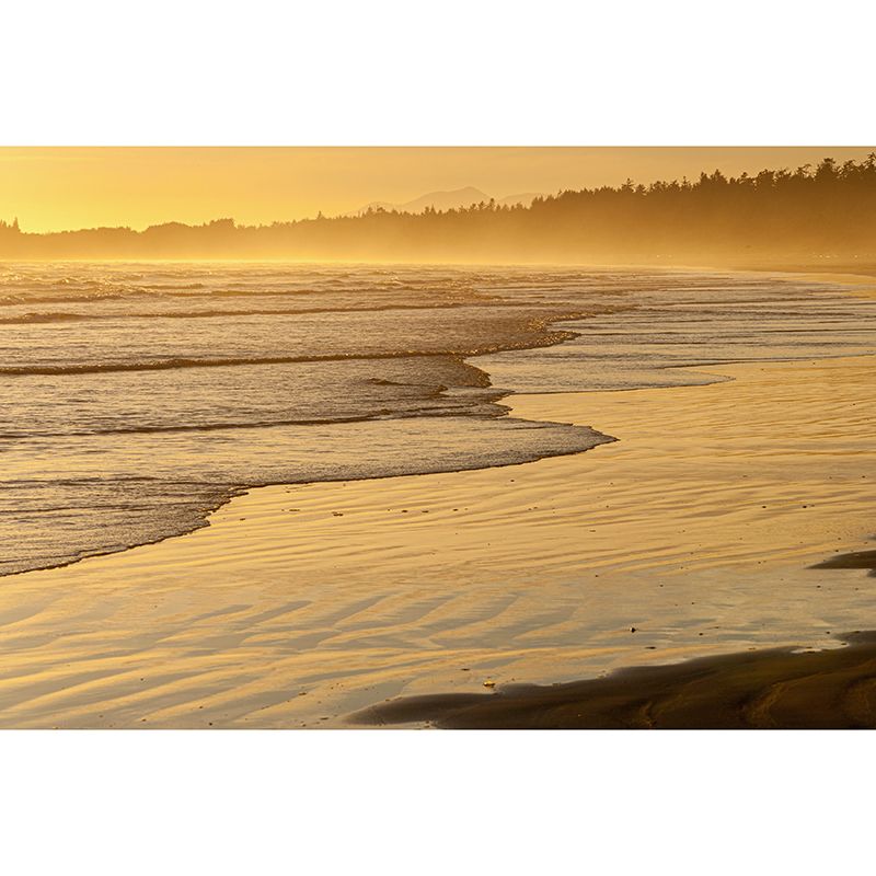 Sea Beach Photography Stain Resistant Mural Wallpaper Indoor Wall Mural