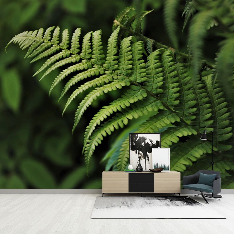 Ferns Plant Mural Wallpaper Mildew Resistant for Reading Room Bedroom Home Decor