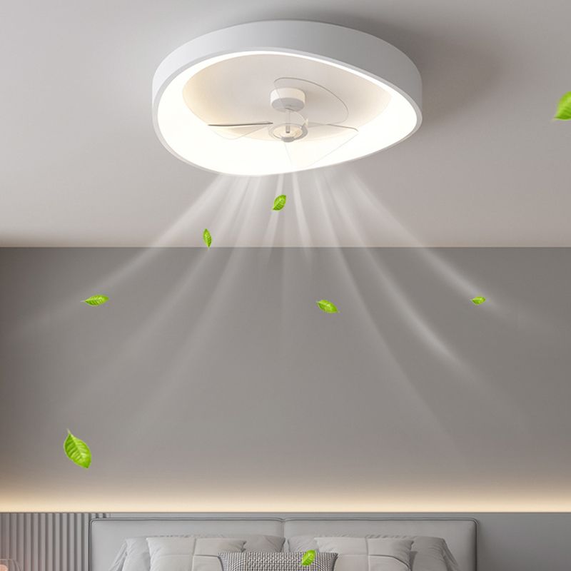 1 - Light LED Fan Light in Matte White Metal Ceiling Fan Fixture