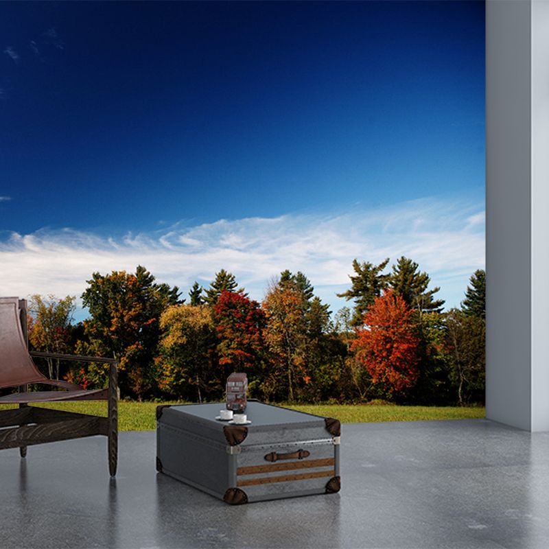 Custom Photography Modern Murals Wallpaper with Fall Lawn and Forest Scene Pattern in Blue-Brown