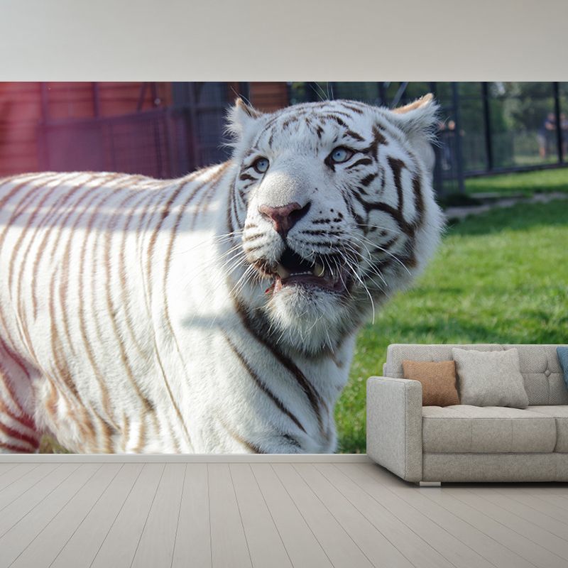 Tiger Jungle Animal Mural Decal Modern Mildew Resistant for Sitting Room