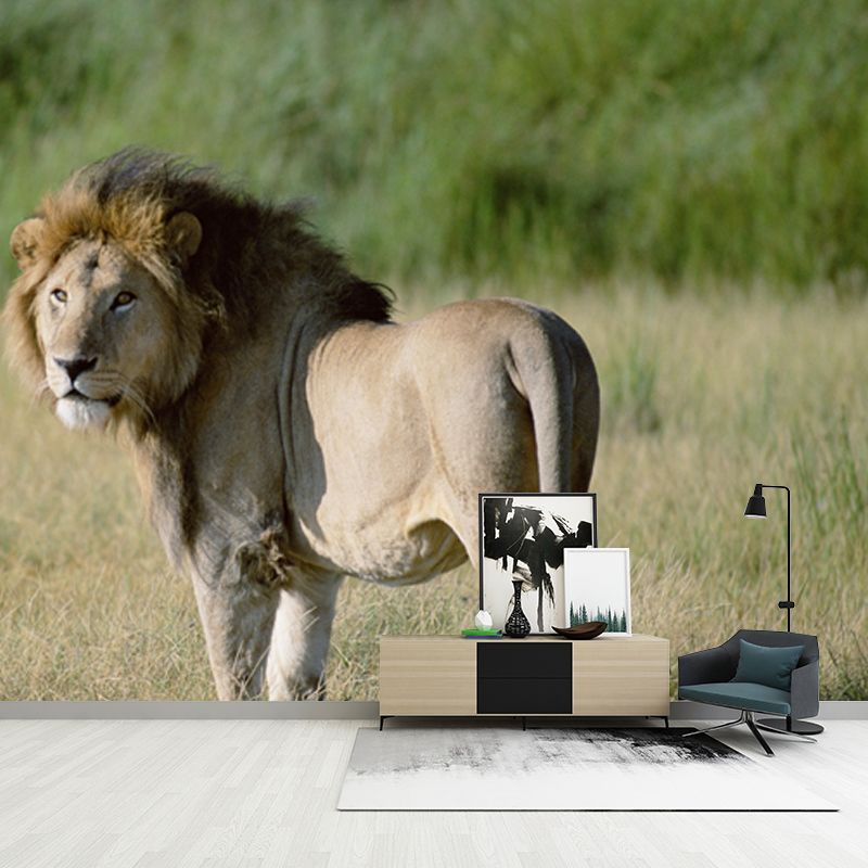 Lion in Savannas Wall Mural Modern Style Smooth Wall Art in Green for Living Room
