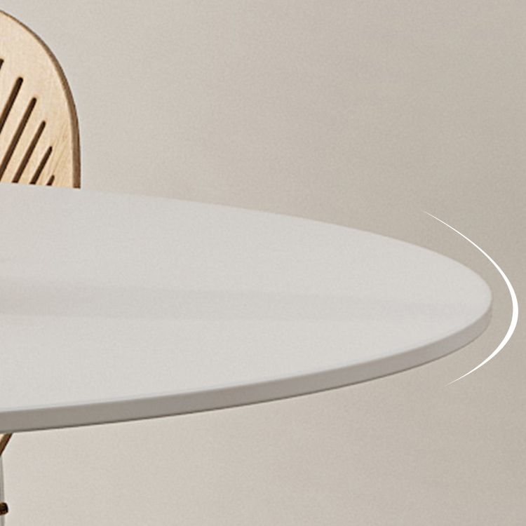 Modern Pedestal Round Dining Table Stone Table for Dining Room