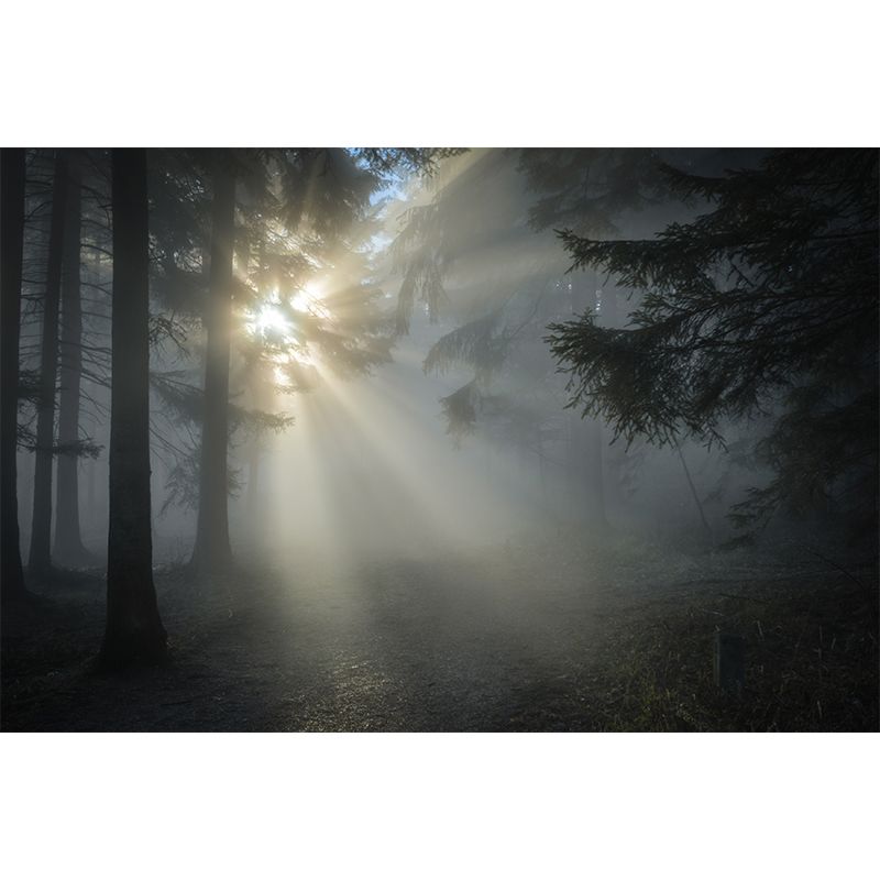 Light Color Misty Landscape Mural Moisture Resistant Modern Style Bedroom Wall Art