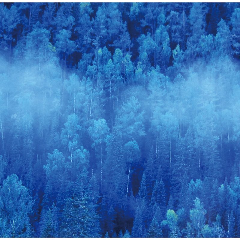 Extra Large Forest Mural Decal for Bathroom Floral Print Wall Covering in Blue, Water Resistant