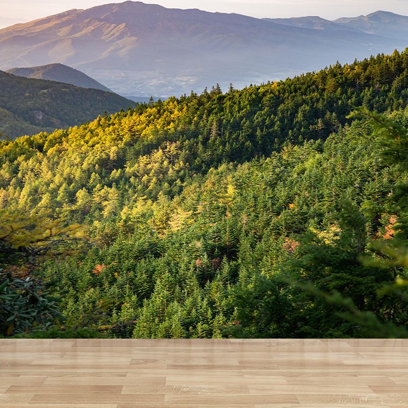 Contemporary Mountain Mural Wallpaper Photography Horizontal for Bedroom