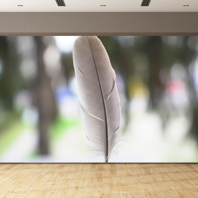 Bird Feather Mural Wallpaper Modern Mildew Resistant Wall Decor
