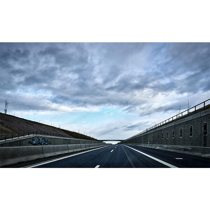 Bridge Mural Horizontal Photography Environment Friendly for Bedroom