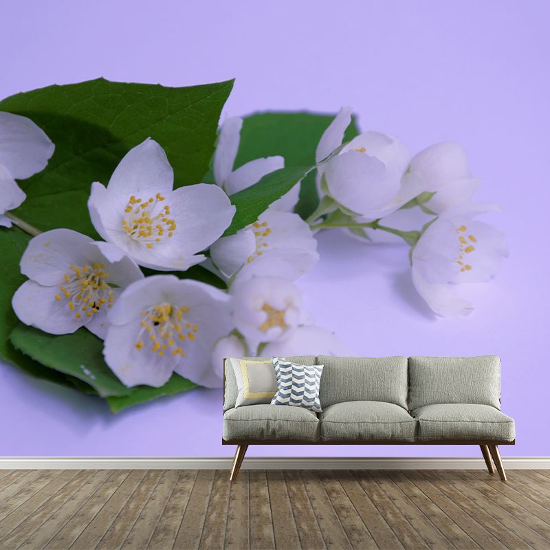 Jasmin Contemporary Style Mural Wallpaper Wall Covering for Living Room Decoration