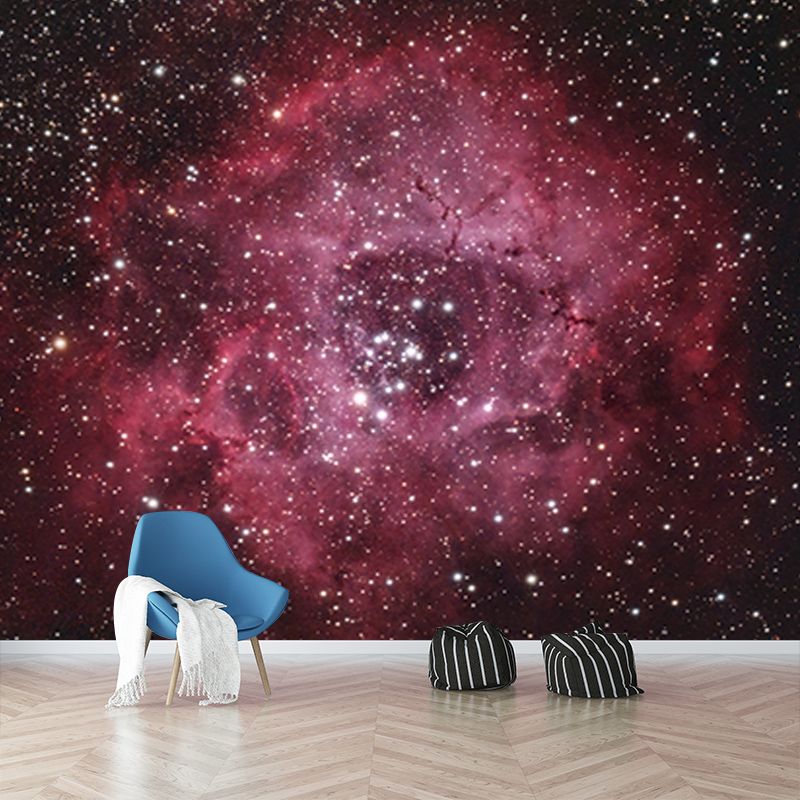 Photography Environment Friendly Mural Wallpaper Cosmos Living Room Wall Mural
