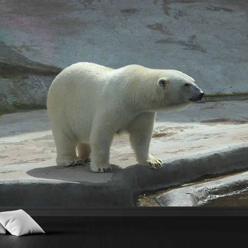 Photography Mural Wall Decor Polar Bear Mildew Resistant Living Room Wall Mural Wall Art