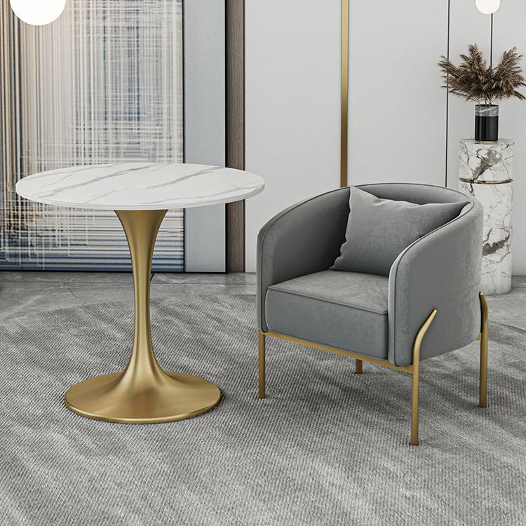 Modern Sintered Stone Dining Room Set with Round Top and Gold Base Furniture
