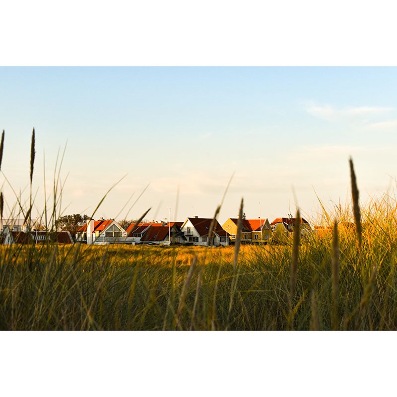 Small Town Scenery Murals Wallpaper Moisture Resistant Wall Decor for Living Room