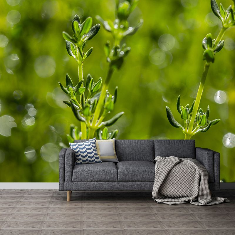 Customized Modern Plants Mural Wallpaper with Thyme Pattern Mildew Resistant