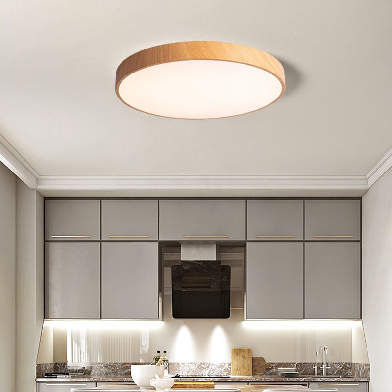 Modern Style Circle Shape Ceiling Lighting Metal 1 Light Ceiling Lighting for Living Room