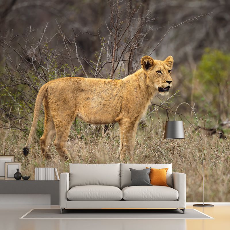 Lioness Mural Environment Friendly Wallpaper Home Decoration for Living Room