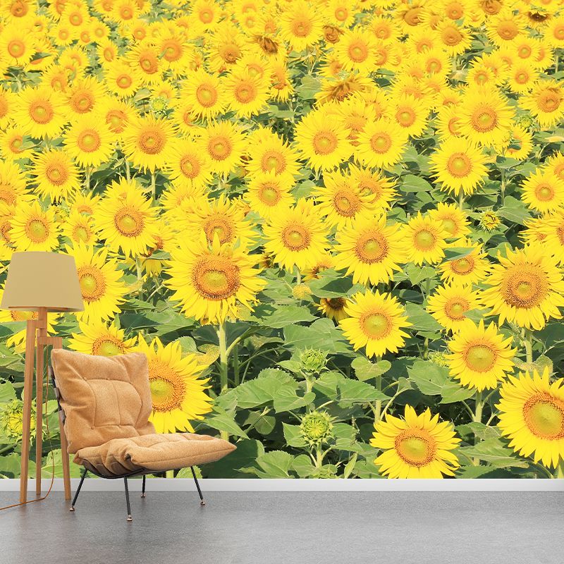 Photography Wall Mural Wallpaper Plant Sitting Room Wall Mural