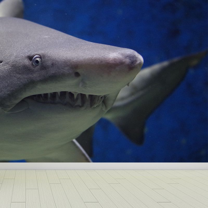 Photography Ferocious shark Mural Wallpaper Contemporary Wall Covering for Home Decoration