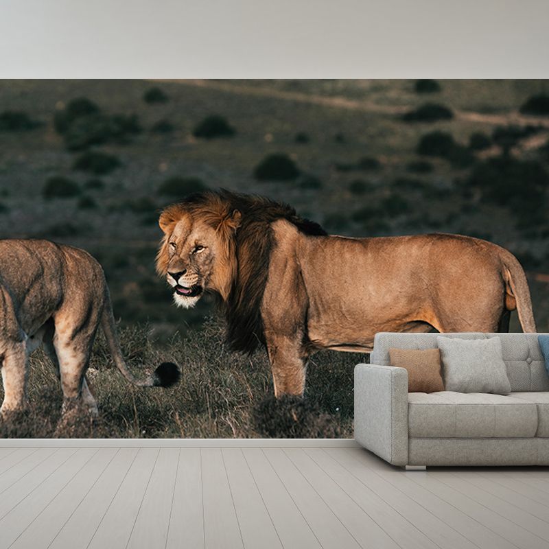 Natural Scene Contemporary Wild Animal Mural Horizontal Photography Bedroom Wall Mural